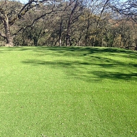 Artificial Grass Carpet Fredonia, Arizona Home And Garden, Recreational Areas