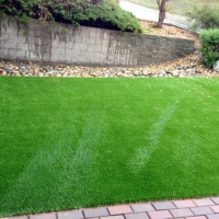 Artificial Grass Carpet Winslow West, Arizona Lawns, Front Yard Landscaping