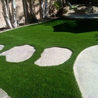 Artificial Grass Installation Concho, Arizona Roof Top, Backyard