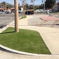 Artificial Grass Installation Nolic, Arizona Gardeners, Commercial Landscape