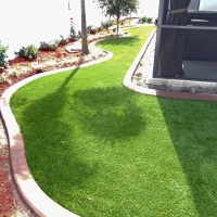 Artificial Grass Installation San Jose, Arizona City Landscape, Backyard