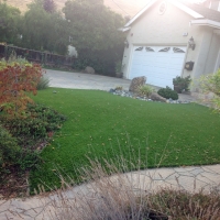 Artificial Grass Williams, Arizona Gardeners, Front Yard Design