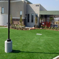 Artificial Lawn Mesa, Arizona Landscape Design, Commercial Landscape