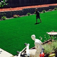 Artificial Turf Cornfields, Arizona Lawns, Backyard Landscape Ideas