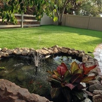 Artificial Turf Cost Valentine, Arizona Gardeners, Natural Swimming Pools