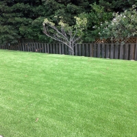 Artificial Turf Cost Wilhoit, Arizona Landscape Ideas, Backyard Landscaping Ideas