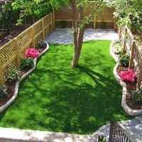 Artificial Turf Santa Cruz, Arizona Garden Ideas, Backyard Designs