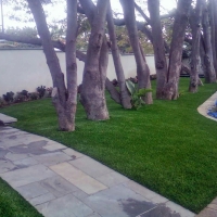 Artificial Turf Tolleson, Arizona Garden Ideas, Small Front Yard Landscaping