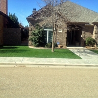 Best Artificial Grass Bagdad, Arizona Roof Top, Front Yard Design