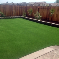 Best Artificial Grass Chiawuli Tak, Arizona Landscaping Business, Backyard Design