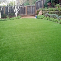 Best Artificial Grass Crozier, Arizona Lawn And Garden, Beautiful Backyards