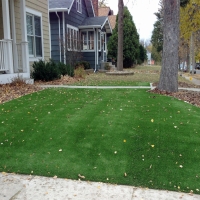 Best Artificial Grass Pinetop-Lakeside, Arizona Garden Ideas, Landscaping Ideas For Front Yard