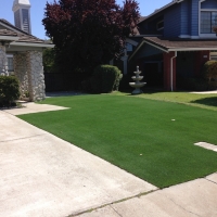 Fake Grass Carpet Ali Chukson, Arizona Lawn And Garden, Landscaping Ideas For Front Yard