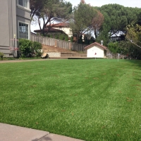 Fake Grass Carpet Chuichu, Arizona Putting Green, Backyard