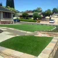 Fake Grass Carpet Cowlic, Arizona Lawn And Garden