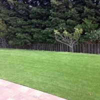 Fake Grass Carpet Rye, Arizona Lawns, Backyard Makeover