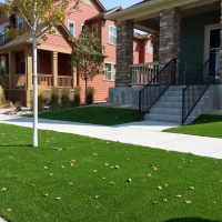 Fake Grass Citrus Park, Arizona Roof Top, Front Yard Ideas