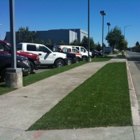 Fake Grass Jakes Corner, Arizona Garden Ideas, Commercial Landscape