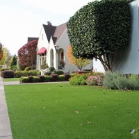 Fake Lawn Dilkon, Arizona Garden Ideas, Small Front Yard Landscaping