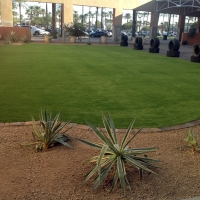 Fake Lawn Gold Camp, Arizona Lawn And Garden, Commercial Landscape