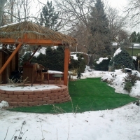 Fake Lawn McConnico, Arizona Gardeners, Backyard Designs