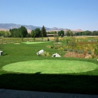 Fake Lawn Page, Arizona Landscaping, Beautiful Backyards