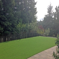 Faux Grass Cactus Forest, Arizona Backyard Playground, Backyard Landscaping