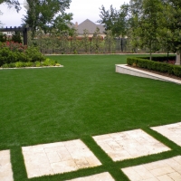 Faux Grass Coolidge, Arizona Roof Top, Backyard Garden Ideas