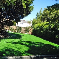 Faux Grass Picacho, Arizona Landscape Ideas, Backyard Ideas