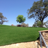 Grass Carpet Ali Molina, Arizona City Landscape, Front Yard Landscape Ideas