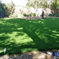 Grass Carpet Citrus Park, Arizona Landscape Photos, Backyard Designs