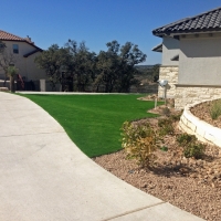 Grass Carpet Eloy, Arizona Landscape Photos, Front Yard