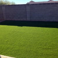 Grass Carpet Oatman, Arizona Landscaping, Backyard Ideas