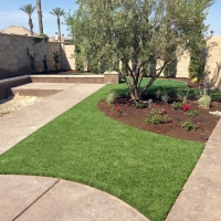 Grass Carpet Rillito, Arizona Landscaping, Front Yard Design