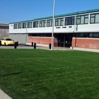 Grass Carpet Superior, Arizona Rooftop, Commercial Landscape