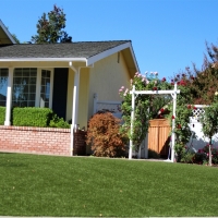 Grass Carpet Surprise, Arizona Lawns, Front Yard Landscape Ideas