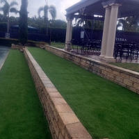 Grass Carpet Tacna, Arizona Garden Ideas, Commercial Landscape