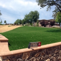 Grass Carpet Tsaile, Arizona Lawns, Front Yard Landscaping Ideas