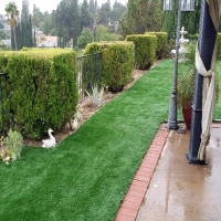 Grass Installation Chandler, Arizona Landscape Design, Backyard