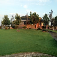 Grass Installation Miami, Arizona Landscaping, Commercial Landscape