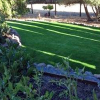 Grass Turf Oak Springs, Arizona Landscape Rock, Backyard Designs