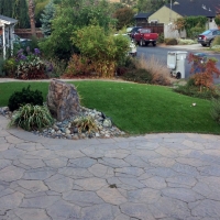 Grass Turf South Tucson, Arizona Lawn And Landscape, Front Yard Design