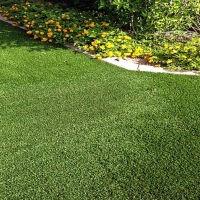 Grass Turf Three Points, Arizona Rooftop, Front Yard Landscaping