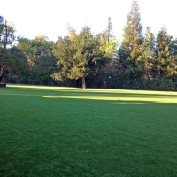 Installing Artificial Grass South Tucson, Arizona Landscape Ideas, Parks