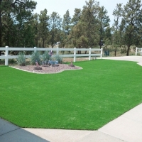 Installing Artificial Grass Tat Momoli, Arizona Roof Top, Front Yard