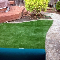 Lawn Services Cibola, Arizona Gardeners, Backyard Design