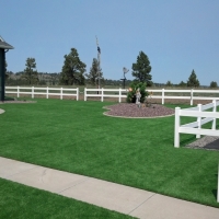 Lawn Services Franklin, Arizona Lawn And Garden, Small Backyard Ideas