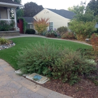 Lawn Services Joseph City, Arizona Home And Garden, Front Yard Ideas