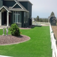 Outdoor Carpet Arizona Village, Arizona Gardeners, Front Yard Landscaping Ideas