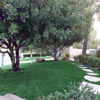 Outdoor Carpet Concho, Arizona Lawn And Landscape, Front Yard Landscaping Ideas